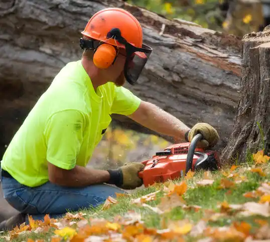 tree services Glenburn